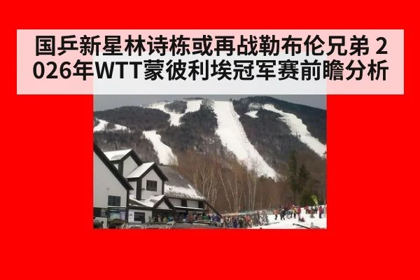 国乒新星林诗栋或再战勒布伦兄弟 2026年WTT蒙彼利埃冠军赛前瞻分析