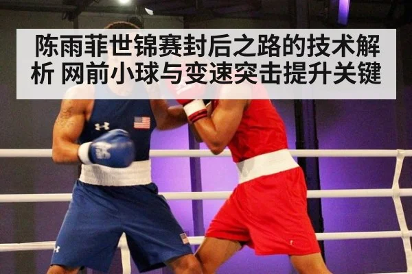 陈雨菲世锦赛封后之路的技术解析 网前小球与变速突击提升关键
