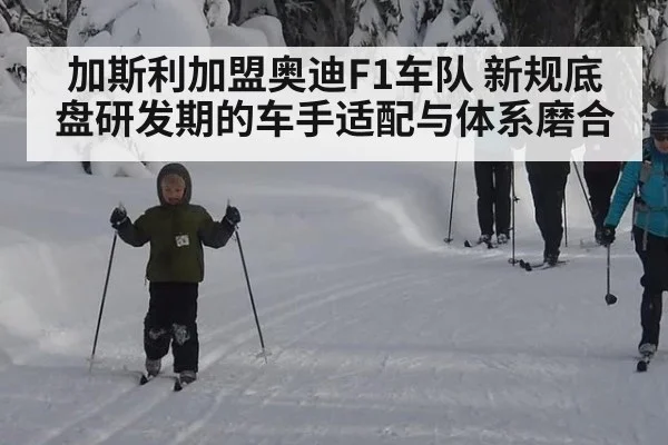 加斯利加盟奥迪F1车队 新规底盘研发期的车手适配与体系磨合